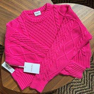 Aritzia Sundays Best Peggy Cropped Cable Knit Sweater